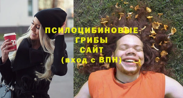 тгк Мегион