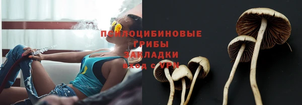 тгк Мегион